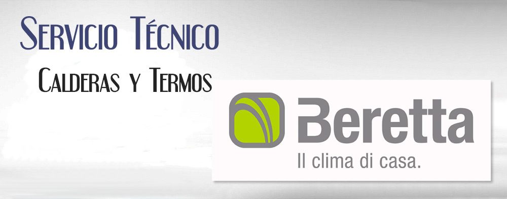 Reparacion de calderas Beretta.