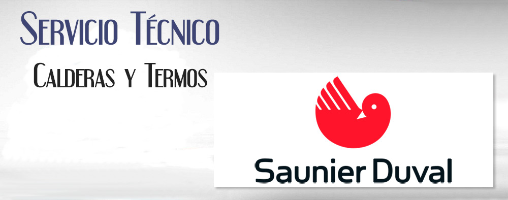 Reparacion de calderas Saunier Duval.
