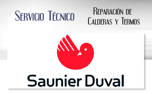 Reparacion de calderas Saunier Duval.