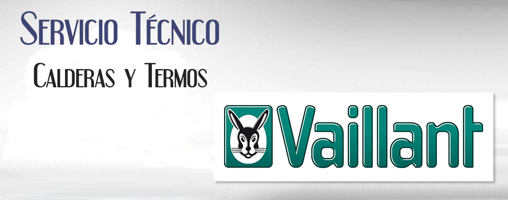 Reparacion de calderas Vaillant.