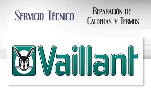 Reparacion de calderas Vaillant.